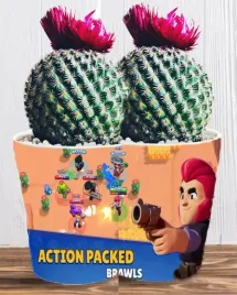 doniczka-do-kwiatow-brawl-stars-producent
