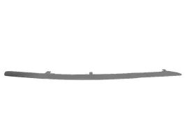 listwa-zderzaka-przod-l-do-audi-a6-c6-10-08-08-11-5703-05-0031923p
