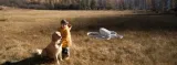 dron-dji-flip-dji-rc-2-gl-rozdzielczosc-nagrywanych-filmow-4k
