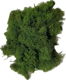 mech-ozdobny-florystyczny-100g-ciemnozielony-dekoracyjny