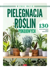 mazik-pielegnacja-roslin-pokojowych