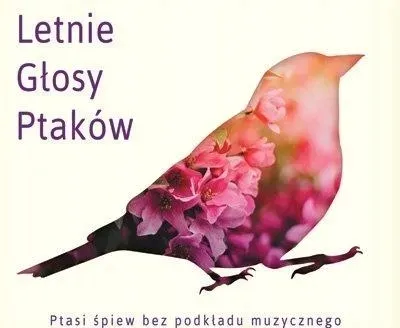 letnie-glosy-ptakow-cd
