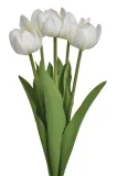 tulipan-bukiet-bialy-natural-touch