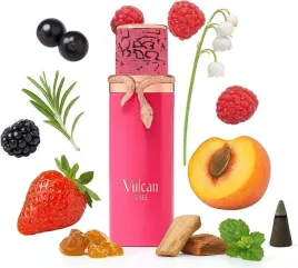 french-avenue-vulcan-baie-100ml-edp-owocowe-perfumy-unisex