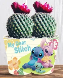 doniczka-do-kwiatow-roslin-lilo-i-stich-producent