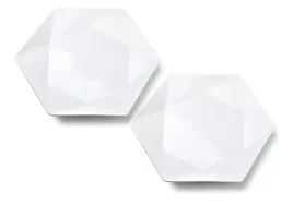 komplet-dwoch-talerzy-obiadowych-ralph-white