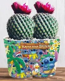 doniczka-do-kwiatow-roslin-lilo-i-stich-producent