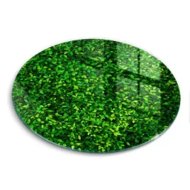 okragla-deska-ze-szkla-odporna-na-zarysowania-roslina-male-listki-fi-30-cm