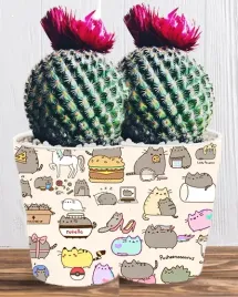 doniczka-do-kwiatow-roslin-pusheen-kotek-producent