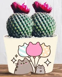 doniczka-do-kwiatow-roslin-pusheen-kotek-producent