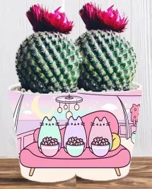 doniczka-do-kwiatow-roslin-pusheen-kotek-producent