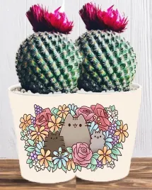 doniczka-do-kwiatow-roslin-pusheen-kotek-producent