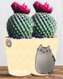 doniczka-do-kwiatow-roslin-pusheen-kotek-producent