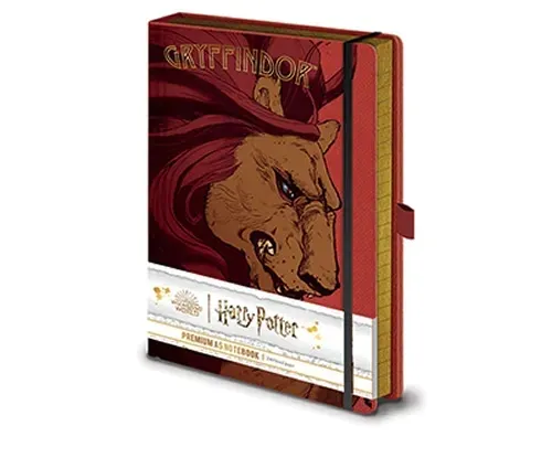 harry-potter-notes-a5-premium-z-zapinka-wysokosc-produktu-21-cm