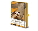 harry-potter-notes-a5-premium-z-zapinka-wysokosc-produktu-21-cm