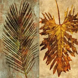 palms-pairs-ii-john-seba-plakat-obraz-70x70cm