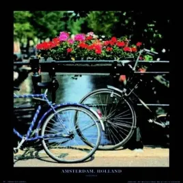 amsterdam-holland-stuart-black-plakat-obraz-70x70cm