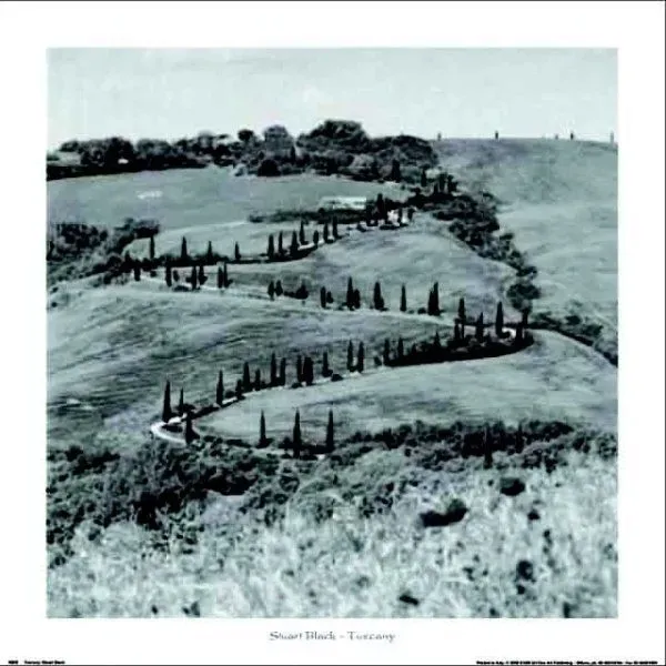 tuscany-stuart-black-plakat-obraz-70x70cm