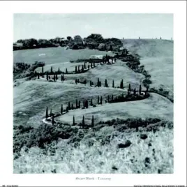 tuscany-stuart-black-plakat-obraz-70x70cm