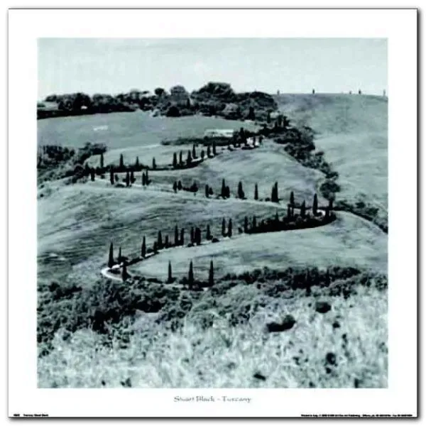 tuscany-stuart-black-plakat-obraz-70x70cm-stan-nowy