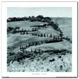 tuscany-stuart-black-plakat-obraz-70x70cm-stan-nowy