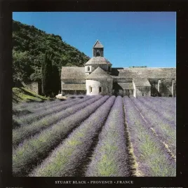 provence-france-stuart-black-plakat-obraz-70x70cm