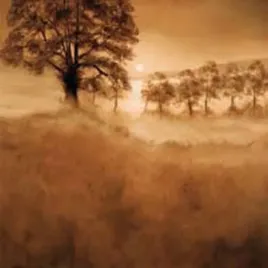 misty-morning-alan-parker-plakat-obraz-70x70cm