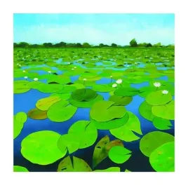waterlilies-alexander-hamawi-plakat-obraz-70x70cm