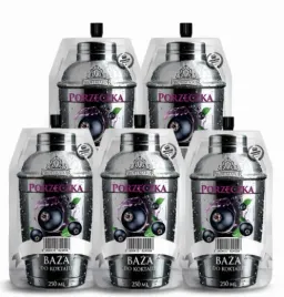 5-sztuk-zaprawka-porzeczka-250-ml-profimator-baza-do-koktajli-drinkow