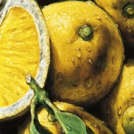 lemons-almach-plakat-obraz-24x24cm