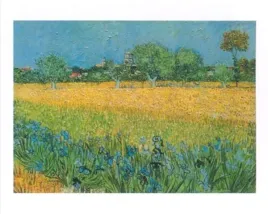 view-of-arles-with-irises-vincent-van-gogh-plakat-obraz-30x24cm
