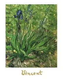 irises-vincent-van-gogh-plakat-obraz-24x30cm