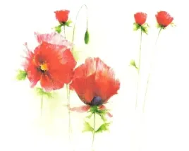 red-poppies-i-andrea-fontana-plakat-obraz-30x24cm