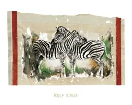 two-zebras-rolf-knie-plakat-obraz-30x24cm