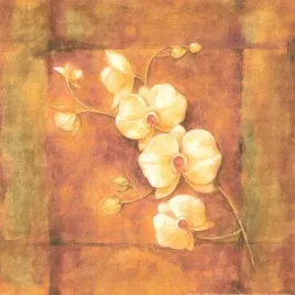 egim-g-p-mepas-plakat-obraz-30x30cm