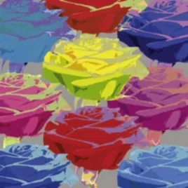 rose-composition-2-jan-lens-plakat-obraz-30x30cm