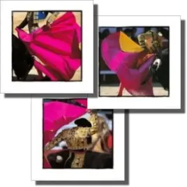 capes-et-toreros-gilles-martin-raget-plakat-obraz-3-szt-30x30cm