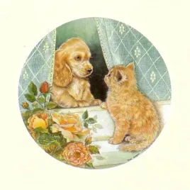 come-and-ply-lm-pam-cooper-plakat-obraz-30x30cm