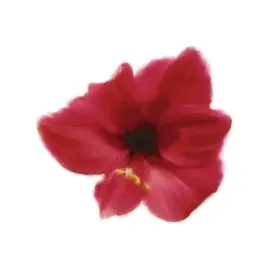 petales-rouges-i-tasmin-phoenix-plakat-obraz-30x30cm