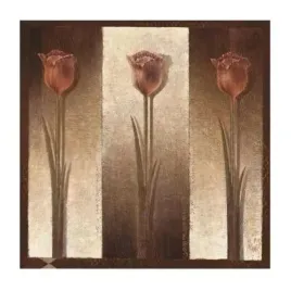 three-tulips-mira-latour-plakat-obraz-30x30cm