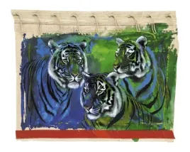 three-tigers-rolf-knie-plakat-obraz-30x24cm