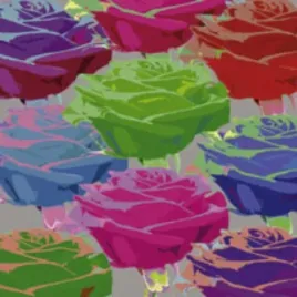 rose-composition-1-jan-lens-plakat-obraz-30x30cm