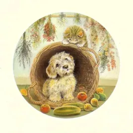 kitchen-playtime-pam-cooper-plakat-obraz-30x30cm