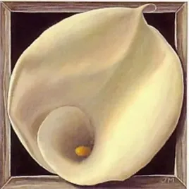 boxed-calla-lily-jay-mercado-plakat-obraz-38x38cm