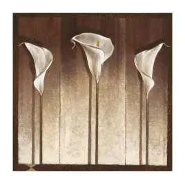 three-calla-lilies-mira-latour-plakat-obraz-30x30cm