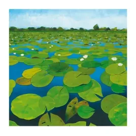 waterlilies-alexander-hamawi-plakat-obraz-30x30cm