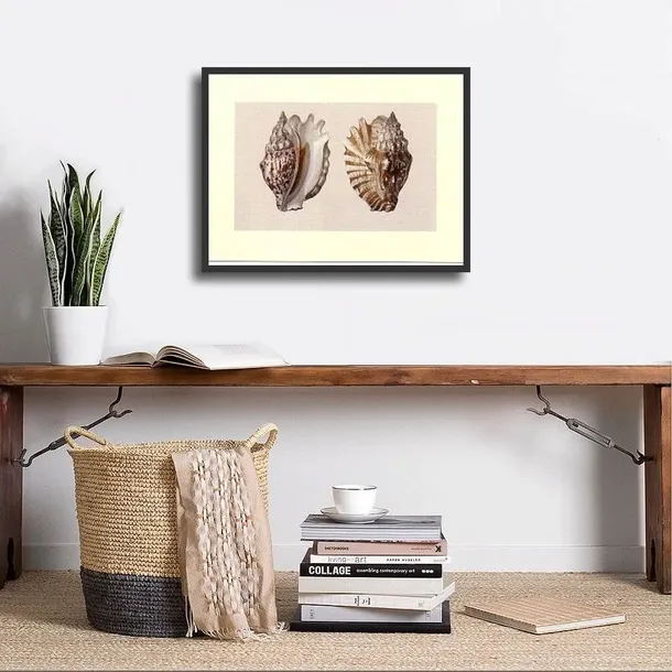 shells-anonim-plakat-obraz-40x30cm-tematyka-inna-tematyka