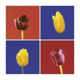 four-tulips-gill-orsman-plakat-obraz-30x30cm