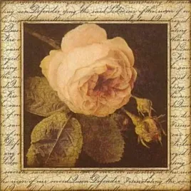 ancient-rose-sid-dickens-plakat-obraz-33x33cm