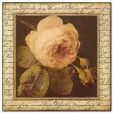 ancient-rose-sid-dickens-plakat-obraz-33x33cm-stan-nowy